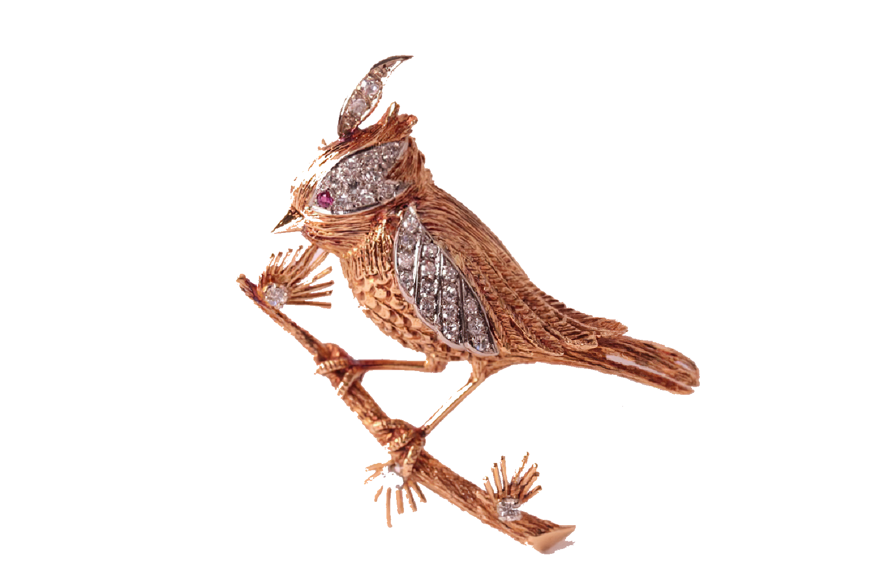 Broche oiseau eventail