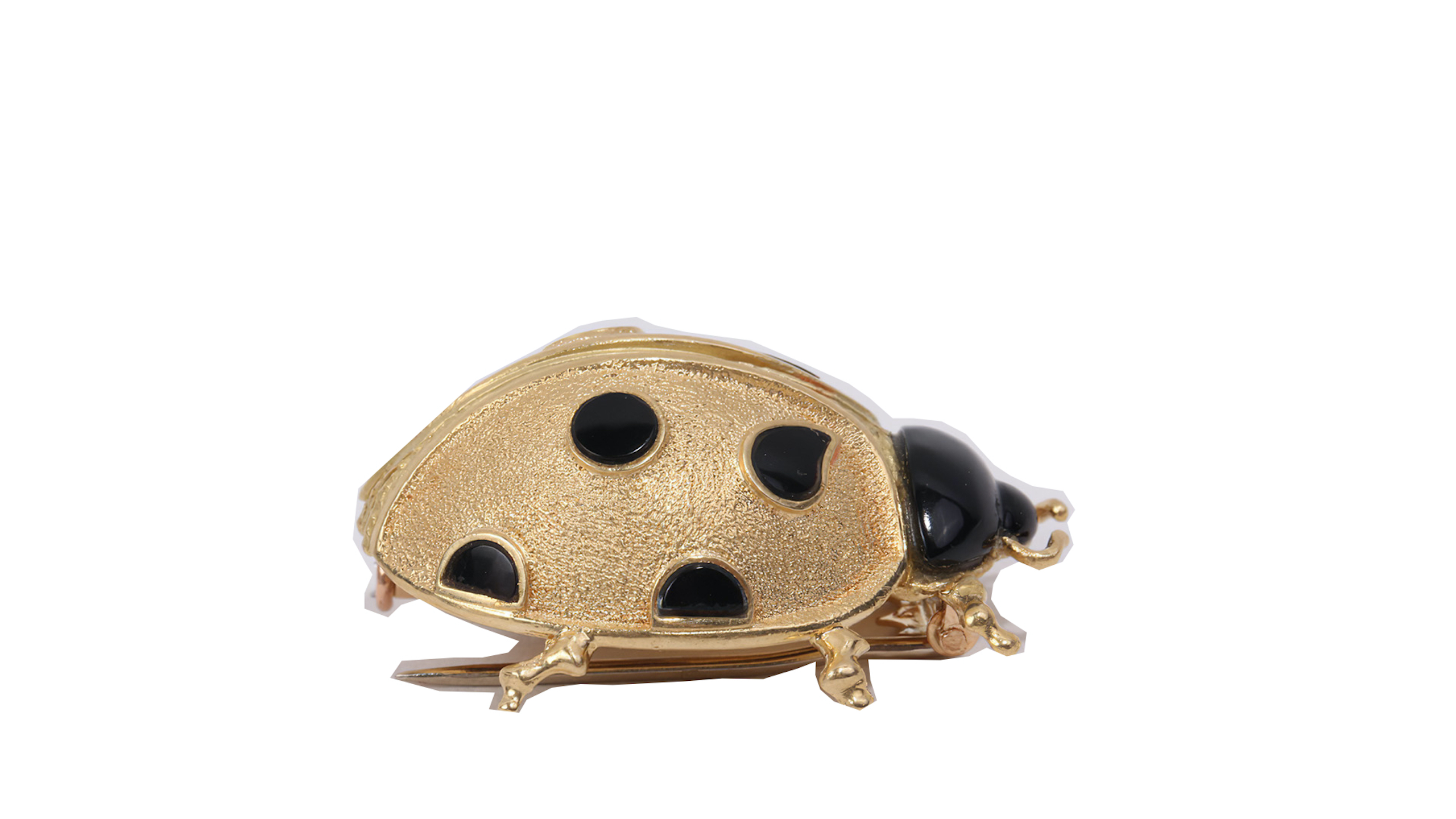 Broche-coccinelle