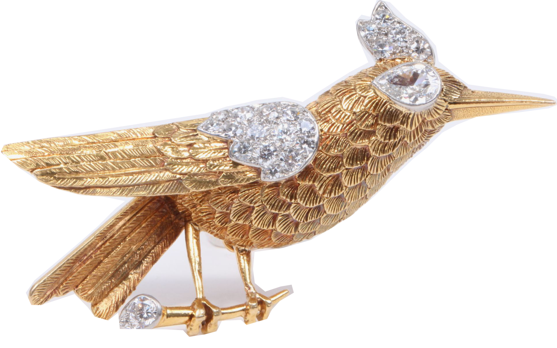 Broche-oiseau-huppe